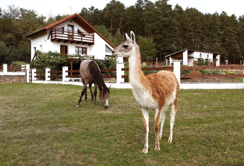 호텔 Na Samotě Ve Srubu