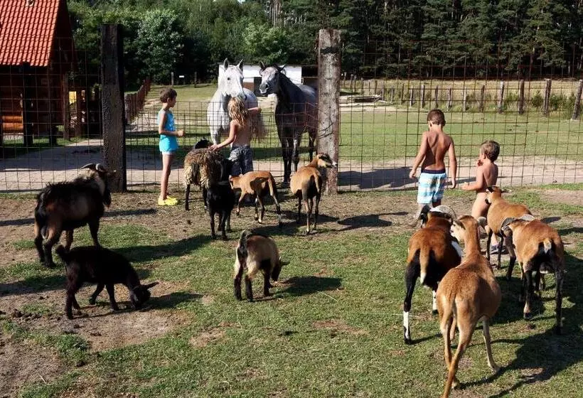 هتل Na Samotě Ve Srubu