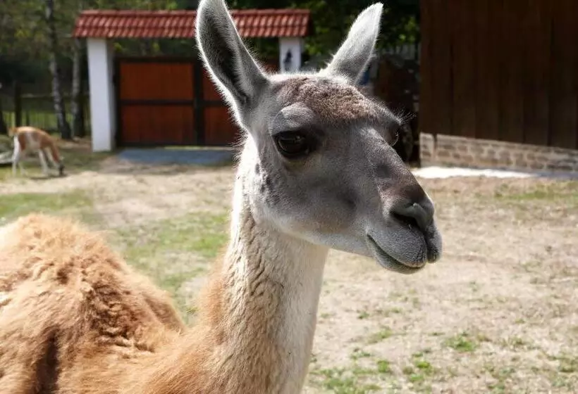 هتل Na Samotě Ve Srubu