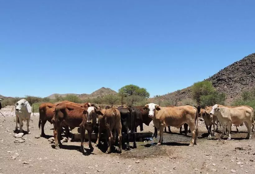 هتل Savanna Guest Farm