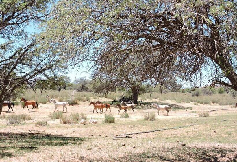 هتل Savanna Guest Farm