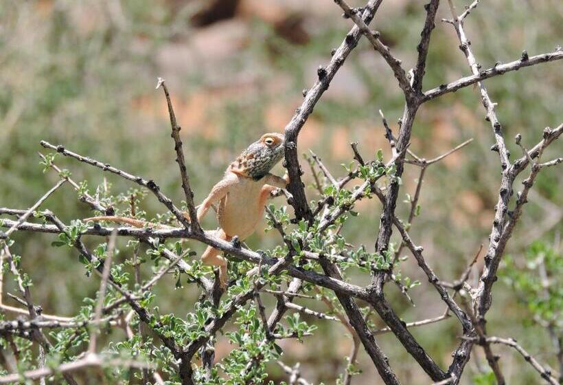 هتل Savanna Guest Farm