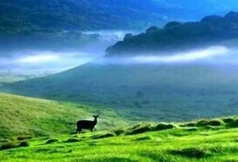 Majatalo Highcliffe Guesthouse