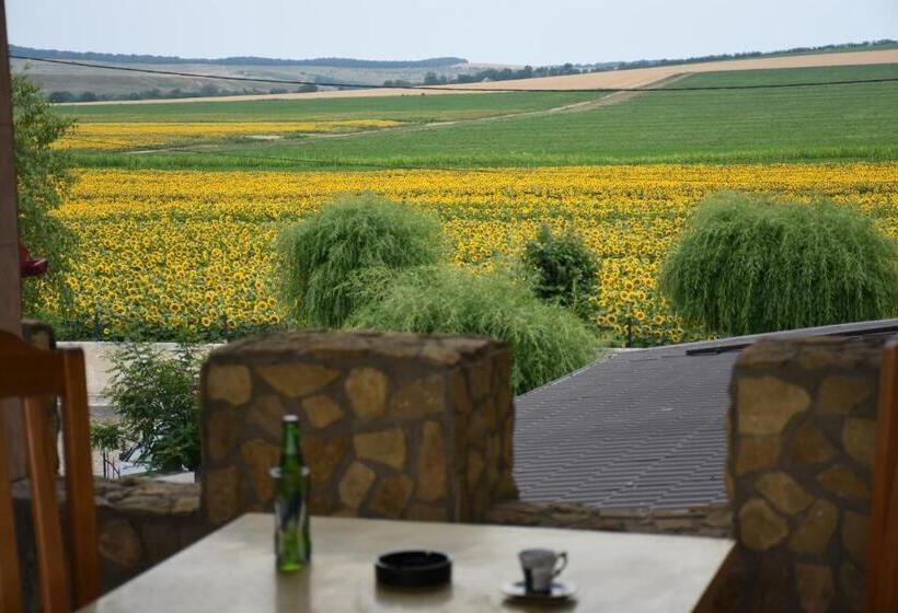 פנסיון Royal Castle