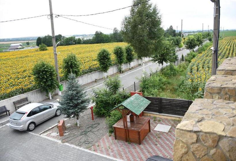 פנסיון Royal Castle