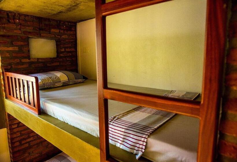 Hostel Pousada Nativos