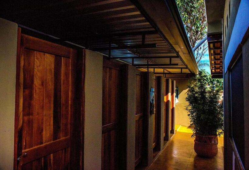 Hostel Pousada Nativos