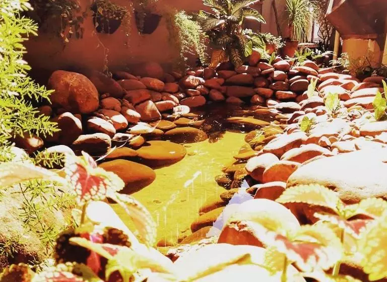 ユースホステル Pousada Nativos