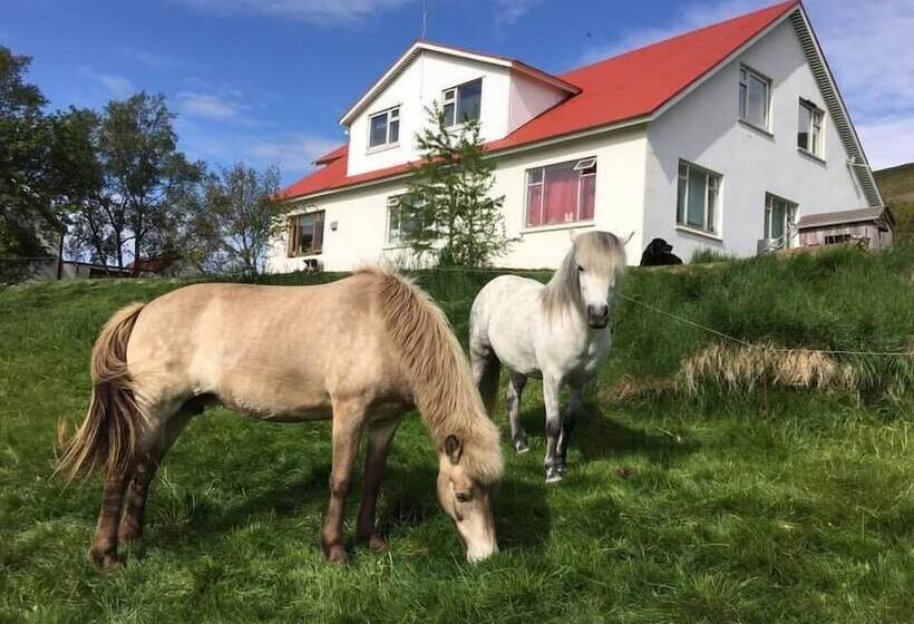 هتل öndólfsstaðir Farm B&b