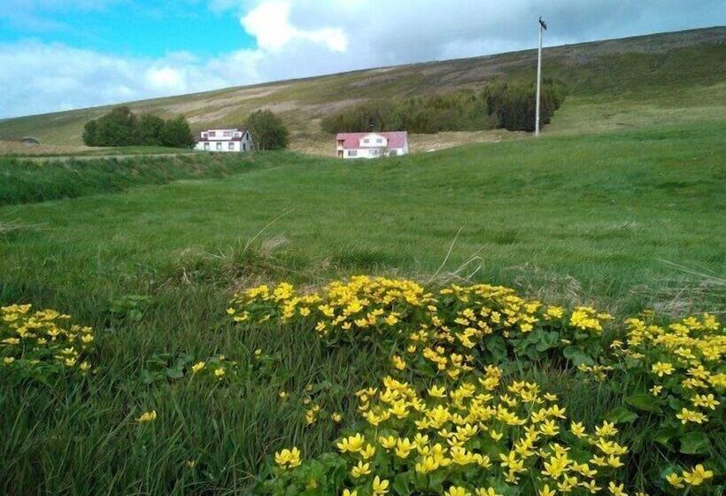 هتل öndólfsstaðir Farm B&b