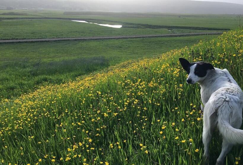 هتل öndólfsstaðir Farm B&b
