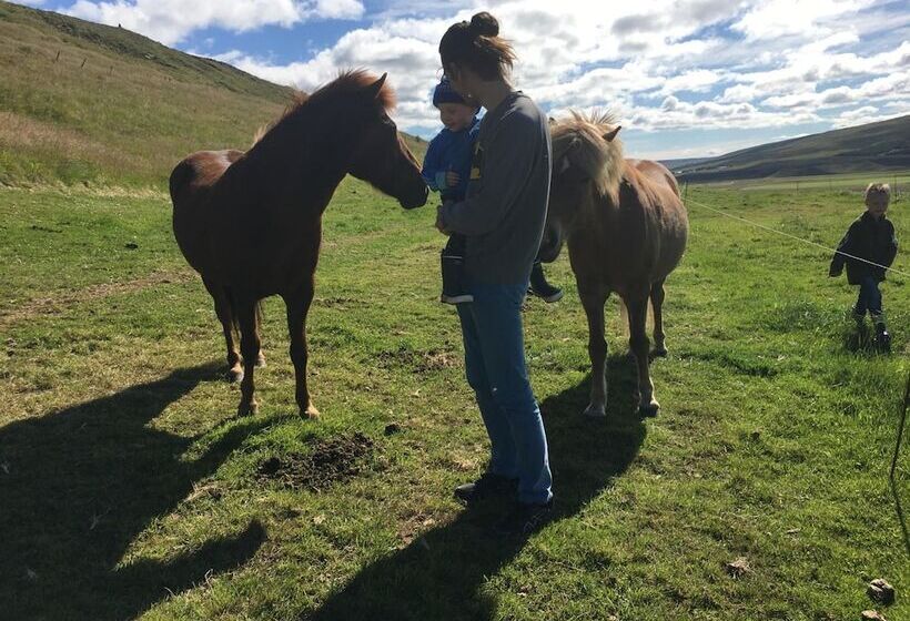 هتل öndólfsstaðir Farm B&b
