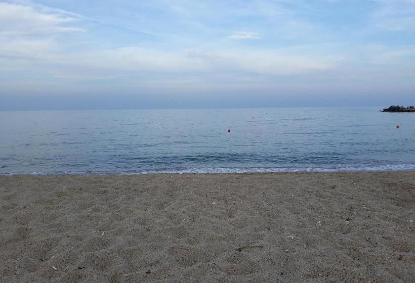 펜션 Enjoy Guest House