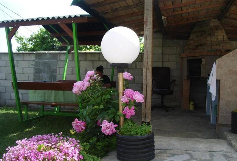 펜션 Enjoy Guest House