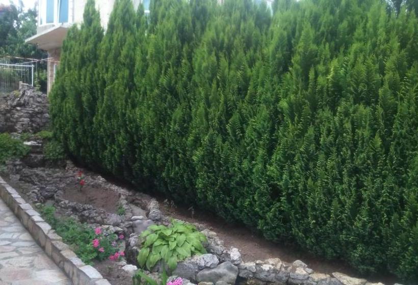 펜션 Enjoy Guest House