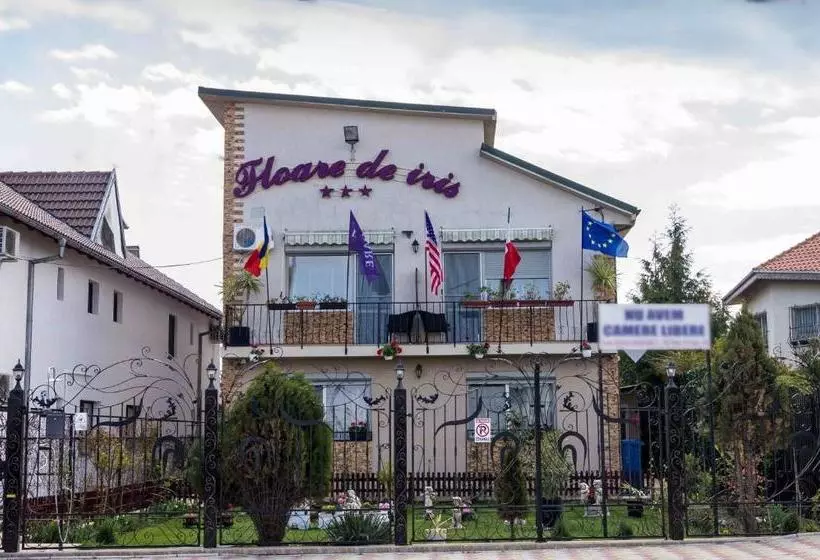 Majatalo Floare De Iris