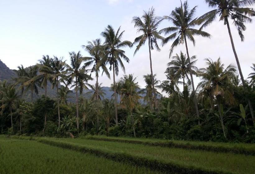 بنسيون Ode Resto Guesthouse