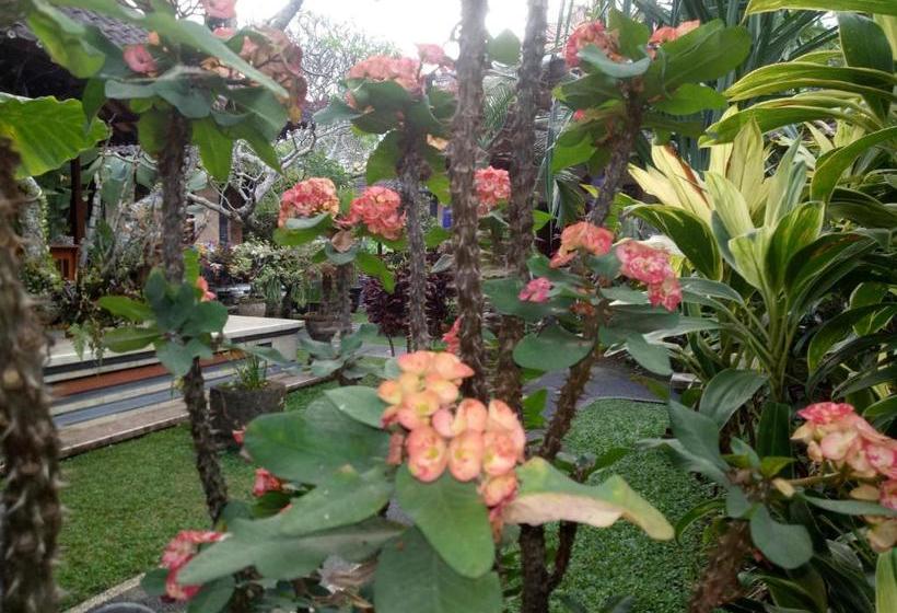 פנסיון Suryadina Guest House