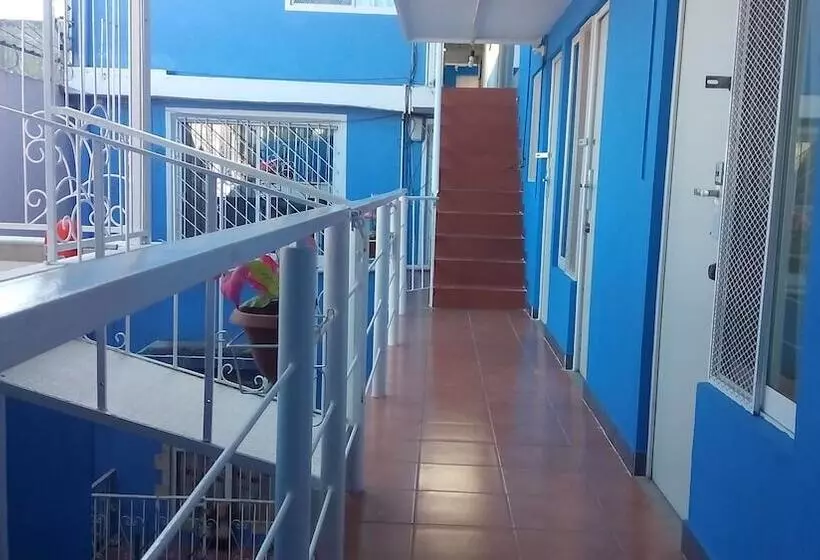 La Pension Casa Azul   Hostel