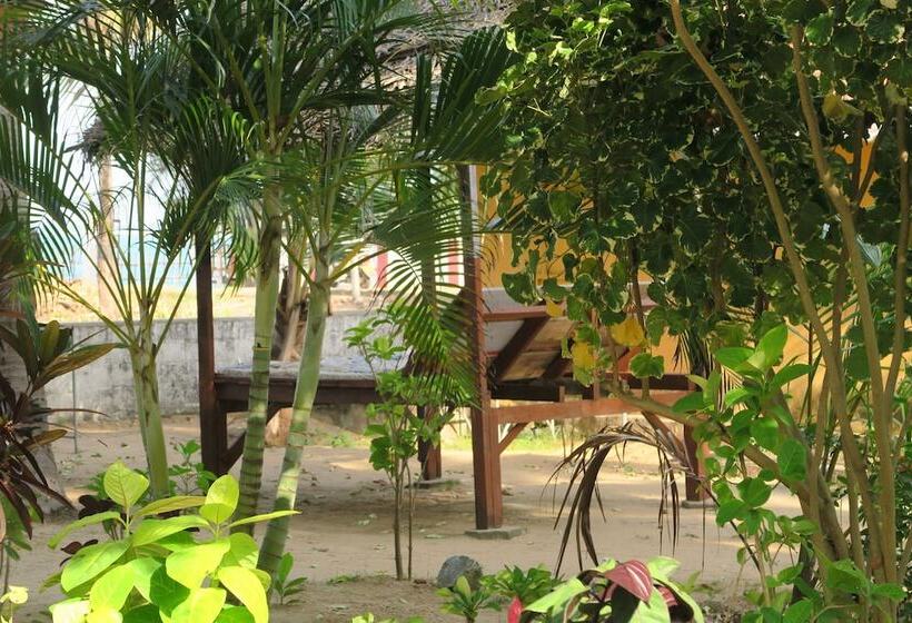 Pensió Arne's Place