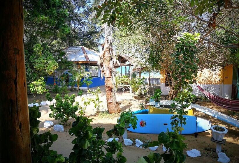 Pensió Arne's Place