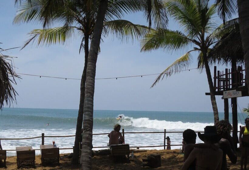 Pensió Arne's Place