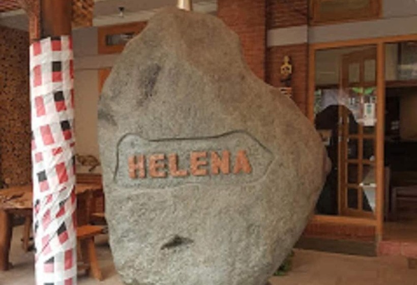 Pensiune Helena Guest House