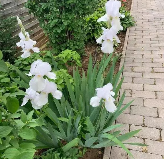 ペンション Pastel Guesthouse