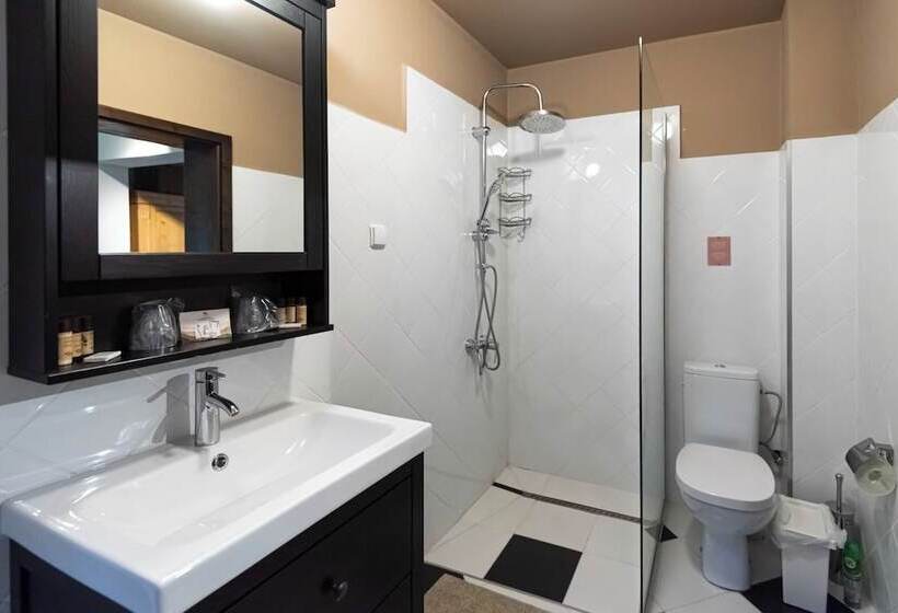 بنسيون Ratiu House