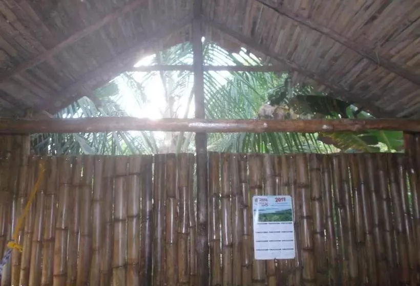 ペンション Hostal La Libertad