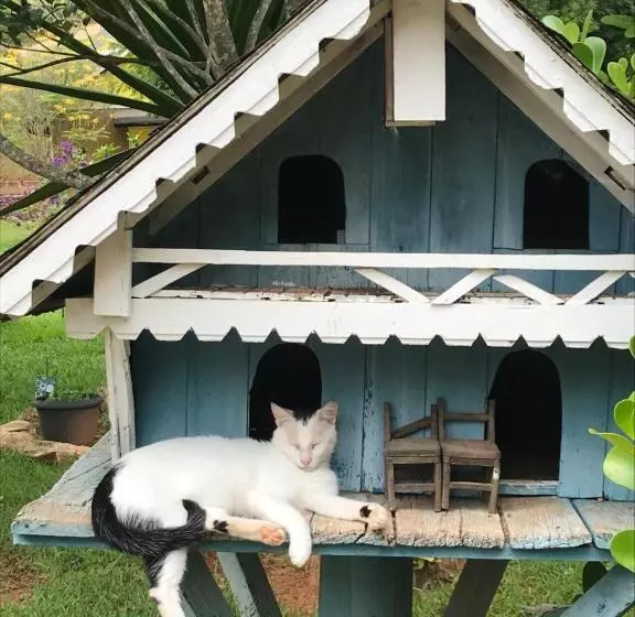 ペンション Pousada Monte Verde