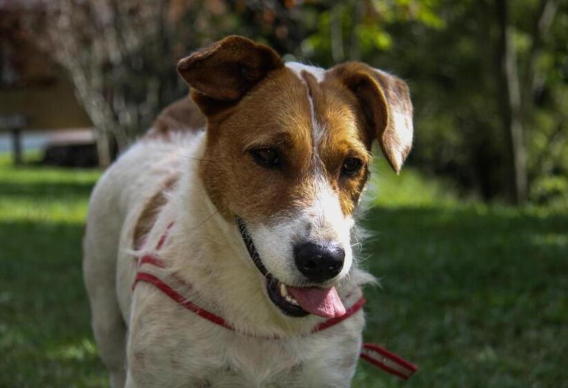 Pension Pousada Monte Verde