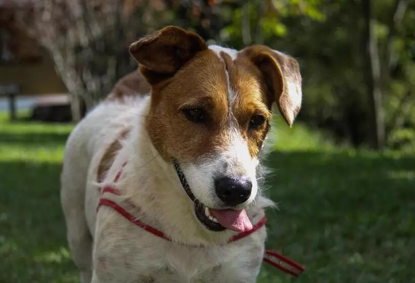 ペンション Pousada Monte Verde