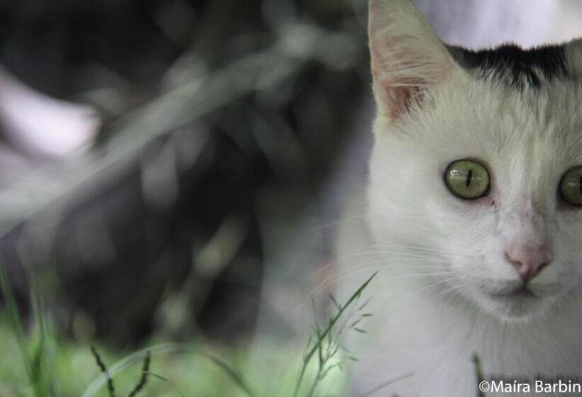 Pension Pousada Monte Verde