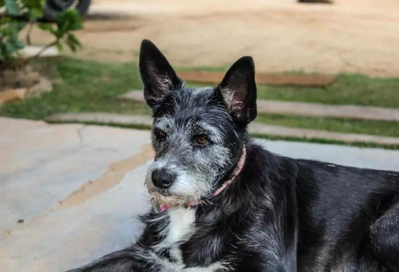 ペンション Pousada Monte Verde