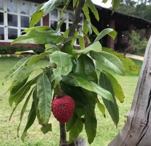 ペンション Pousada Monte Verde