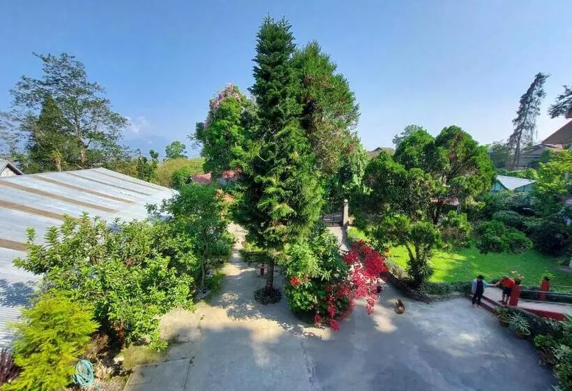 ペンション Shikher