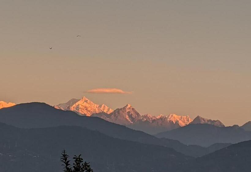 پانسیون Shikher