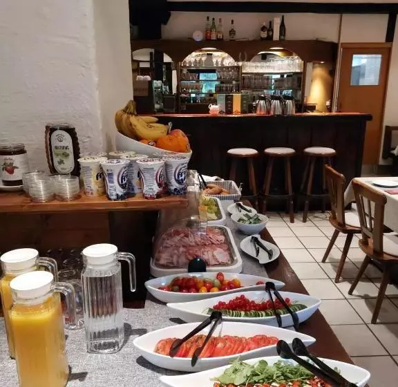 ユースホステル Draxlerhaus