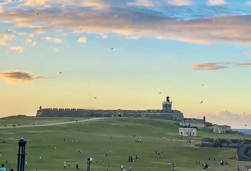 هاستل Navona Studios