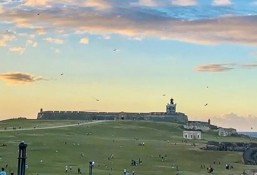 هاستل Navona Studios