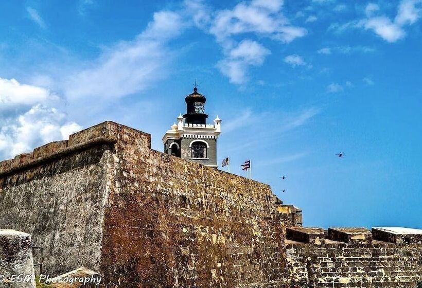 هاستل Navona Studios