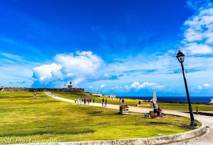 هاستل Navona Studios