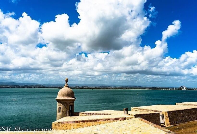 هاستل Navona Studios