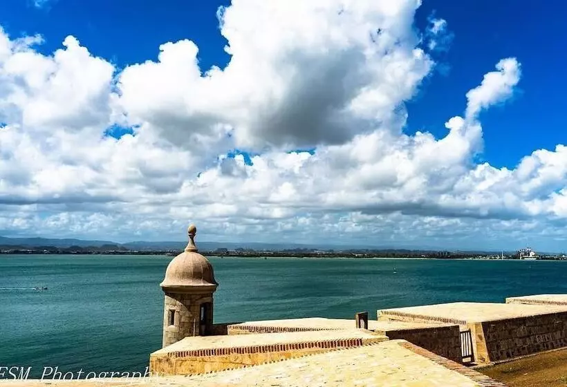 هاستل Navona Studios