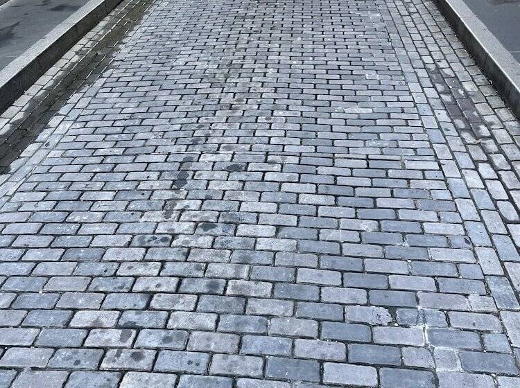 هاستل Navona Studios