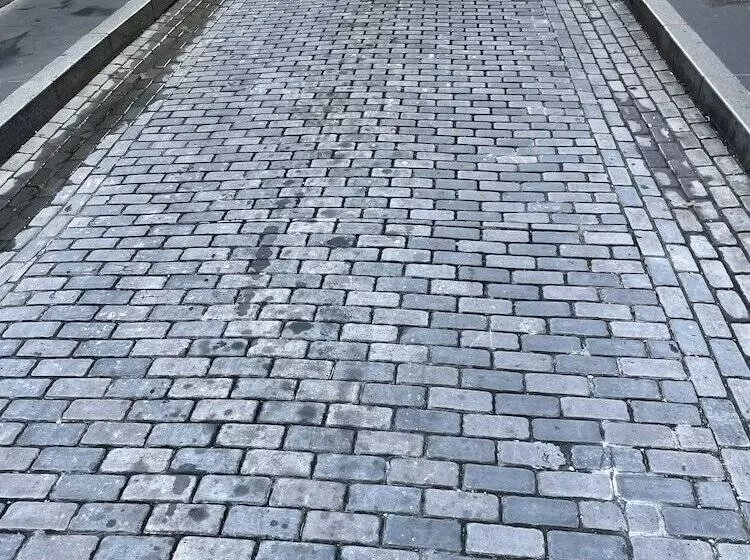 هاستل Navona Studios