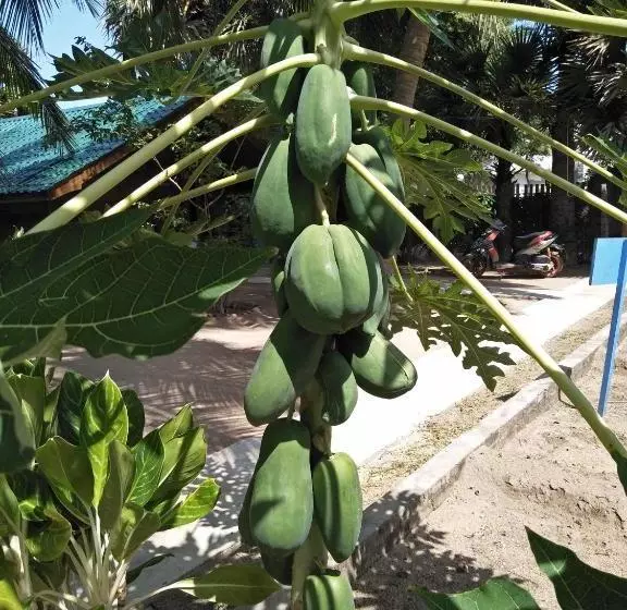 پانسیون Bella Nilaveli Beach