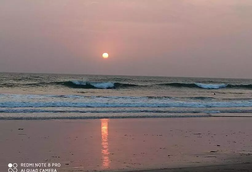 ペンション Cactus Guesthouse