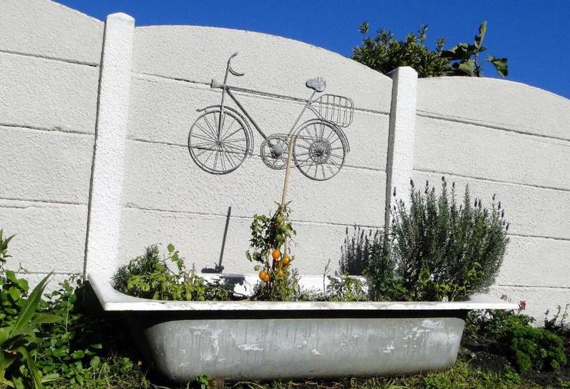 بنسيون Our Nest Guest House